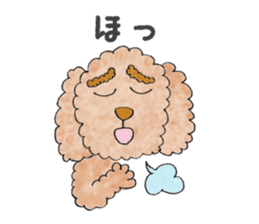 Toy poodle male 9 years old sticker #13258073