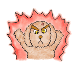 Toy poodle male 9 years old sticker #13258074