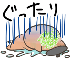 Pot pig sticker #13258761