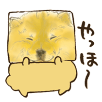 Chataro the dog 3 sticker #13259263