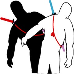 the partner volume of ninja 2 who moves