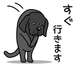 GO GO JIN SAN sticker #13266862