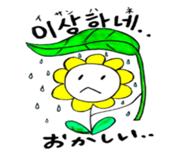 Korean-Japanese sunflower"tommy"~enjoy sticker #13270480