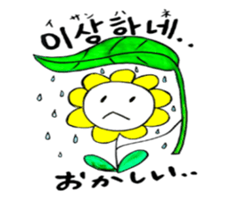 Korean-Japanese sunflower"tommy"~enjoy sticker #13270480