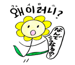 Korean-Japanese sunflower"tommy"~enjoy sticker #13270481