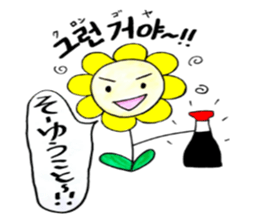 Korean-Japanese sunflower"tommy"~enjoy sticker #13270497