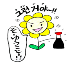 Korean-Japanese sunflower"tommy"~enjoy sticker #13270497