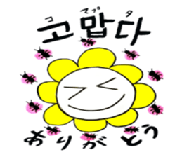 Korean-Japanese sunflower"tommy"~enjoy sticker #13270498