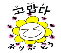 Korean-Japanese sunflower"tommy"~enjoy sticker #13270498
