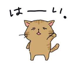 Sorrow of cat sticker #13275566