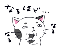 Sorrow of cat sticker #13275567