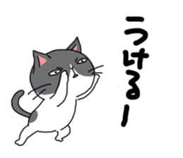 Sorrow of cat sticker #13275575