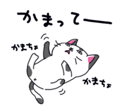 Sorrow of cat sticker #13275595