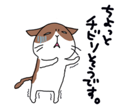 Sorrow of cat sticker #13275596