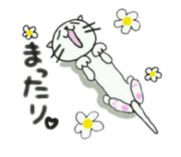 DEAR CAT sticker #13275764