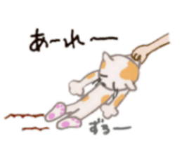 DEAR CAT sticker #13275771