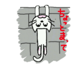 DEAR CAT sticker #13275773