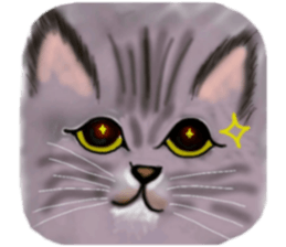 DEAR CAT sticker #13275789