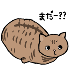 cat panda ! sticker #13276279