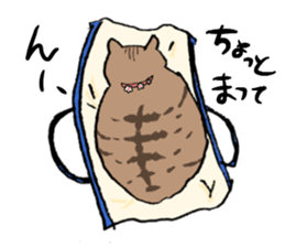 cat panda ! sticker #13276293