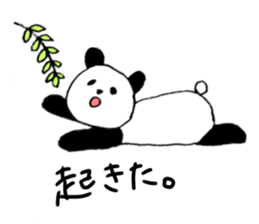 cat panda ! sticker #13276308