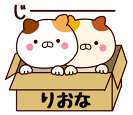 your name riona sticker #13278414