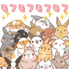 Crazy about RABBITS!