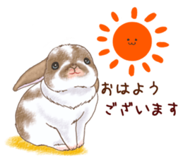 Crazy about RABBITS! sticker #13282406