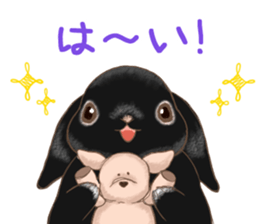 Crazy about RABBITS! sticker #13282413