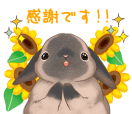 Crazy about RABBITS! sticker #13282417