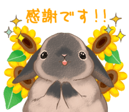 Crazy about RABBITS! sticker #13282417