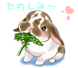 Crazy about RABBITS! sticker #13282420