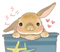 Crazy about RABBITS! sticker #13282427