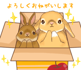 Crazy about RABBITS! sticker #13282433