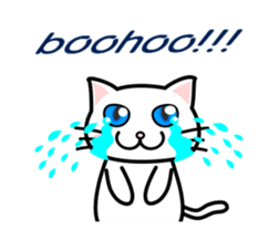 It is a basic set of white cat. sticker #13283671