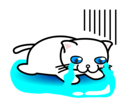 It is a basic set of white cat. sticker #13283672