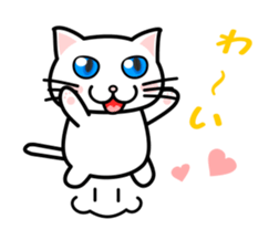 It is a basic set of white cat. sticker #13283677