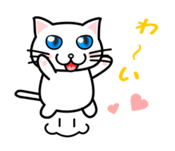 It is a basic set of white cat. sticker #13283677