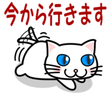 It is a basic set of white cat. sticker #13283678