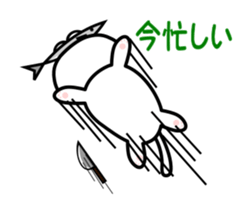 It is a basic set of white cat. sticker #13283681