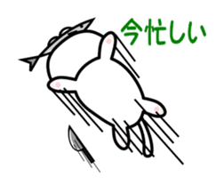 It is a basic set of white cat. sticker #13283681