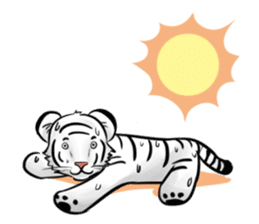 Smiling white tiger (English version) sticker #13286826