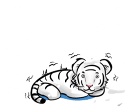 Smiling white tiger (English version) sticker #13286827