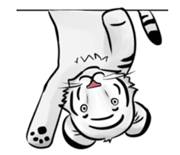 Smiling white tiger (English version) sticker #13286836