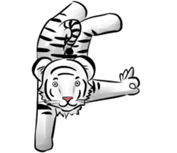 Smiling white tiger (English version) sticker #13286839