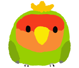 Beloved Rosy-faced lovebird sticker #13288066