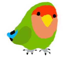 Beloved Rosy-faced lovebird sticker #13288067