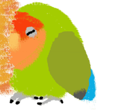 Beloved Rosy-faced lovebird sticker #13288079