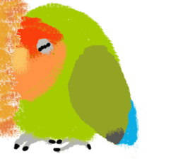 Beloved Rosy-faced lovebird sticker #13288079