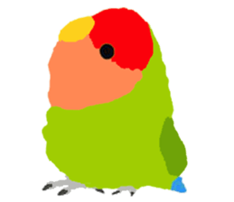 Beloved Rosy-faced lovebird sticker #13288081